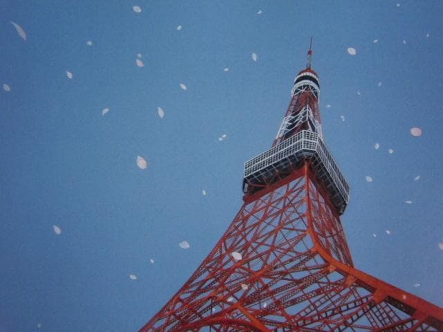 阿由比、「東京タワー」、希少な画集画、 新品高級額装付、状態良好