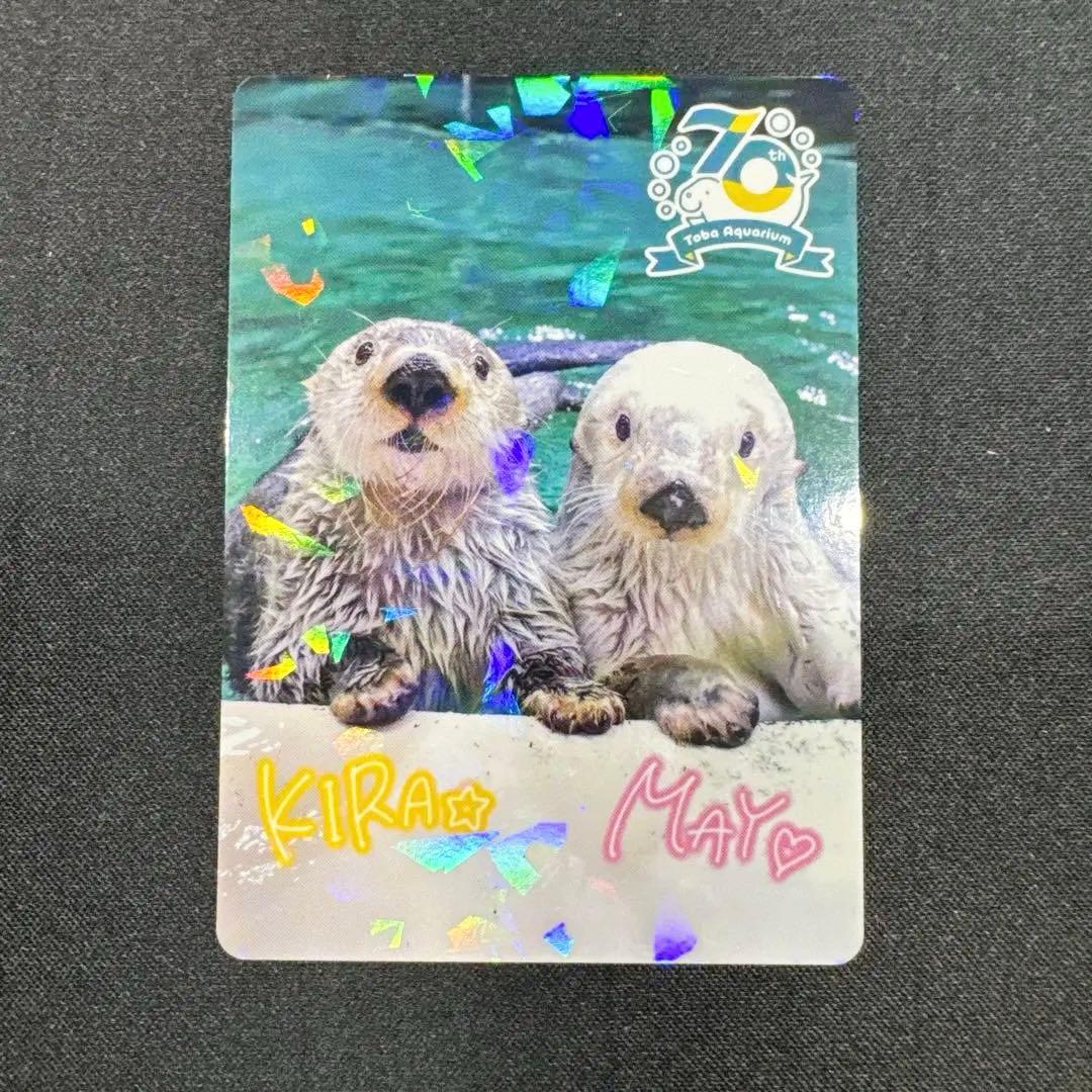 【匿名配送】鳥羽水族館　70周年記念　コレクションカード　レアカード　メイ　キラ