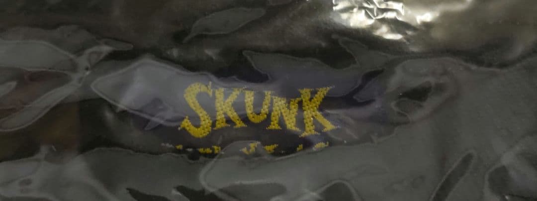 当時物！絶対価格以下無 ブランキージェットシティ D.I.J. Tシャツ 未開封