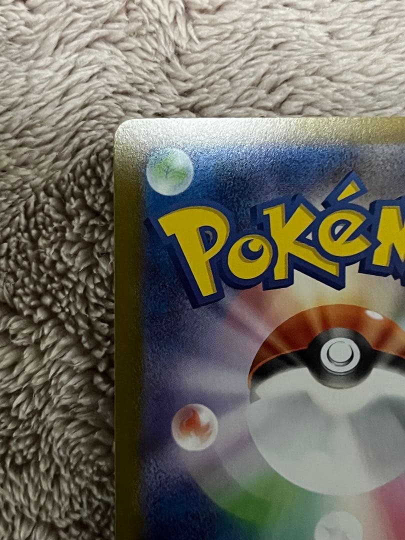 ブラッキーex SAR SV8a テラスタルフェス