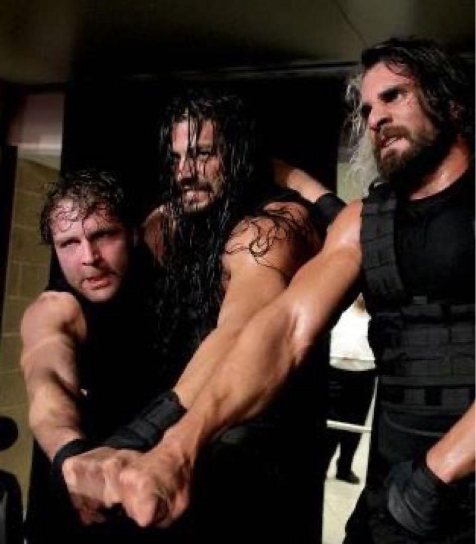 ザ・シールド　HBK AJスタイルズ wwe フィギュア バリケードセット