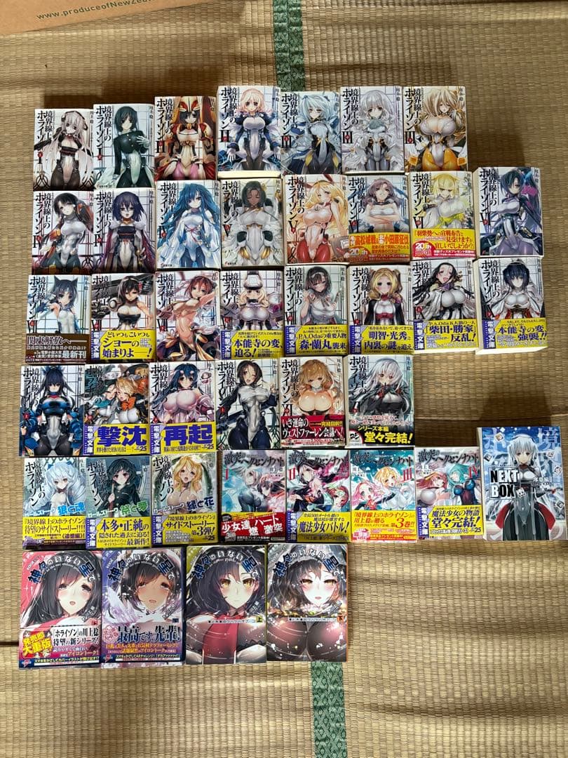 【調整可能】境界線上のホライゾン本編全巻+その他川上稔作品複数