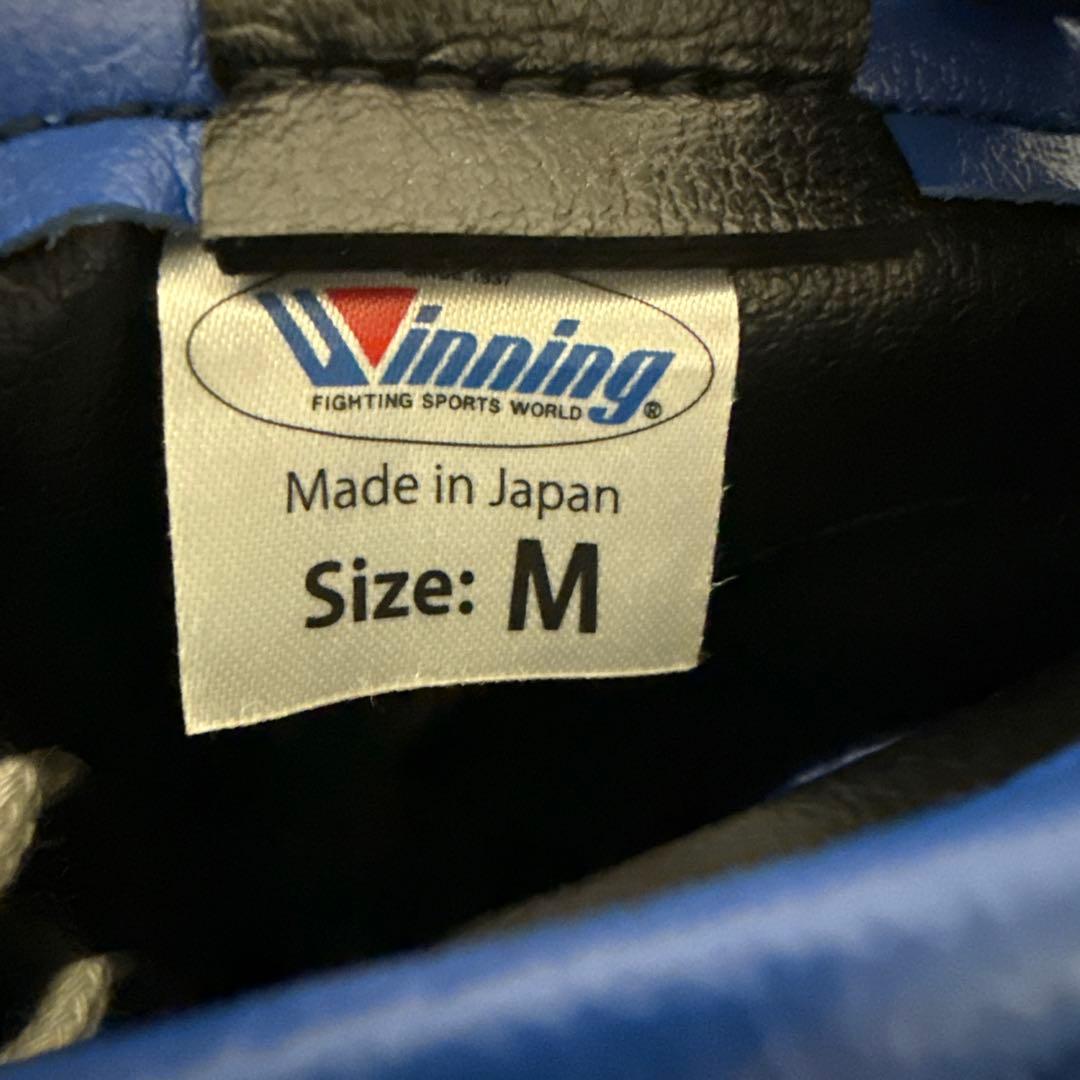 winning ヘッドギア　Mサイズ　FG-2900