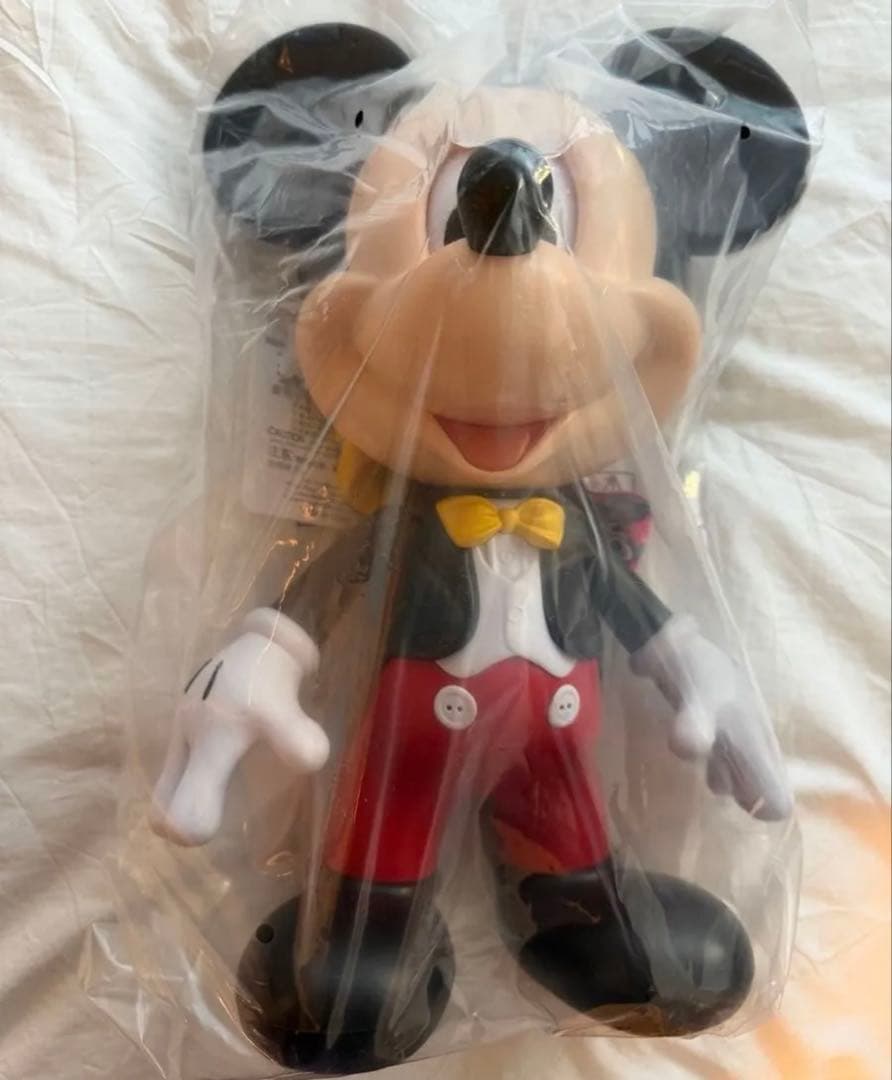 香港ディズニー　ポップコーンバケット