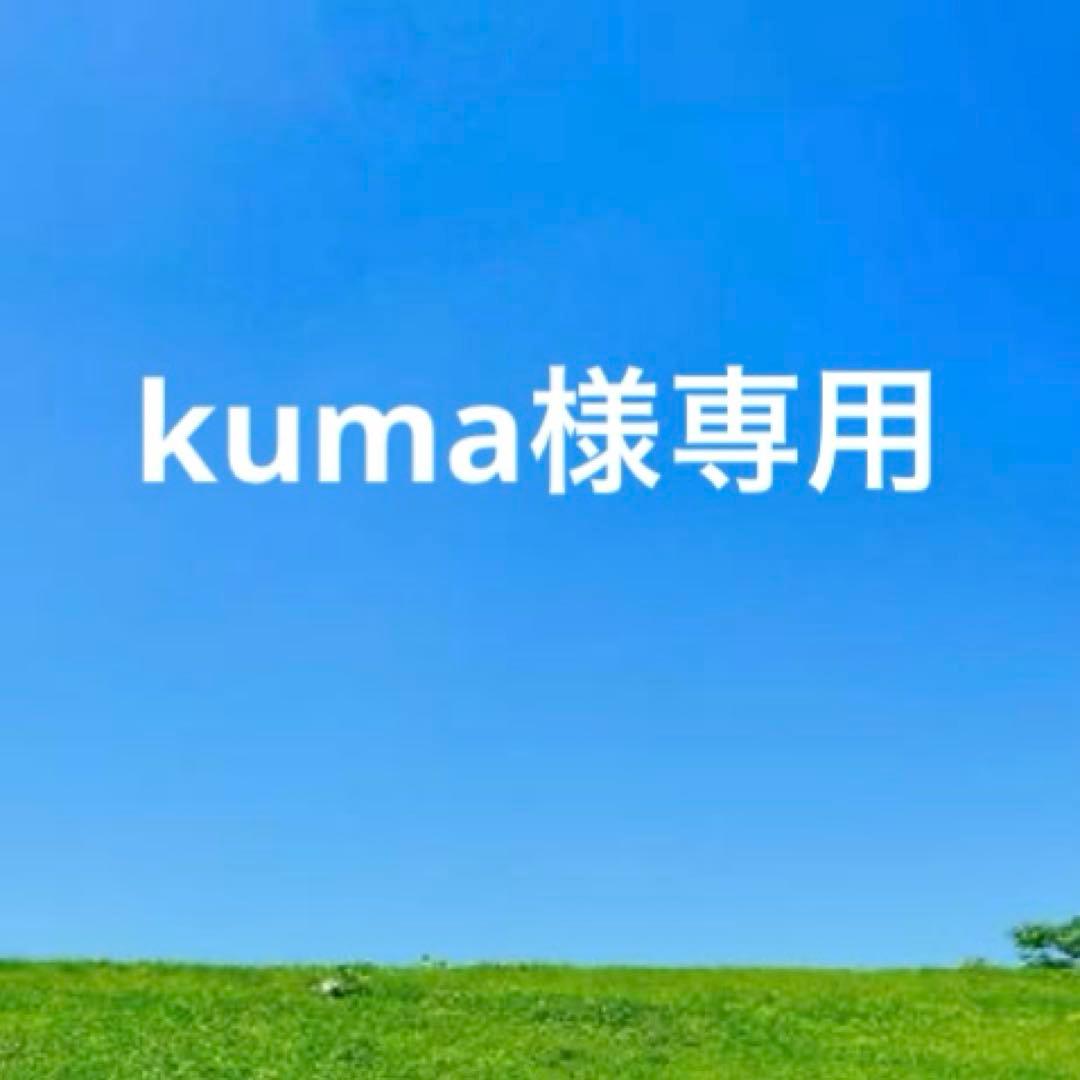 未使用　HIROFUヒロフ　レザー二つ折り財布　センプレ　グレージュ　カード付き
