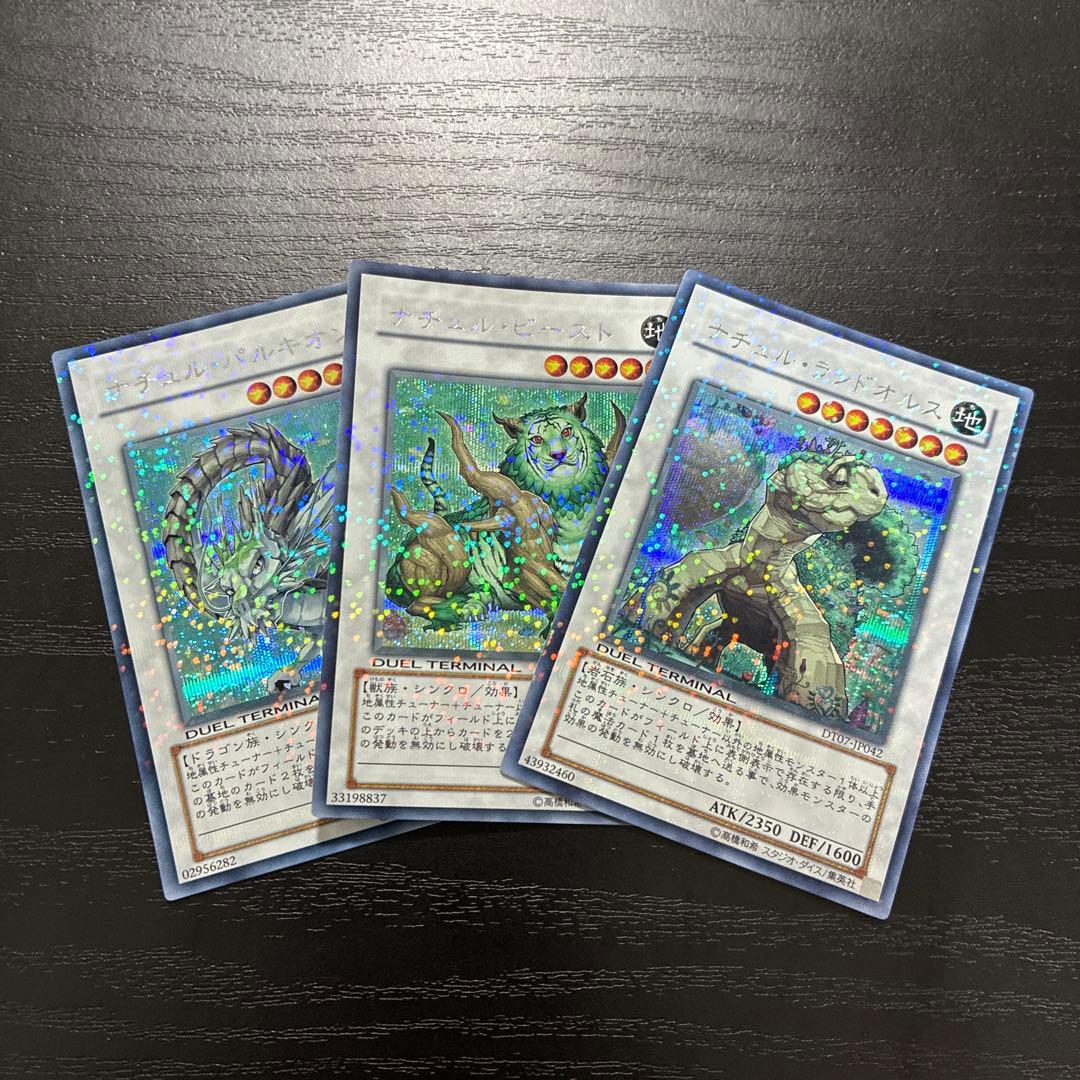 遊戯王　ナチュル　シンクロシークレットレア3枚セット
