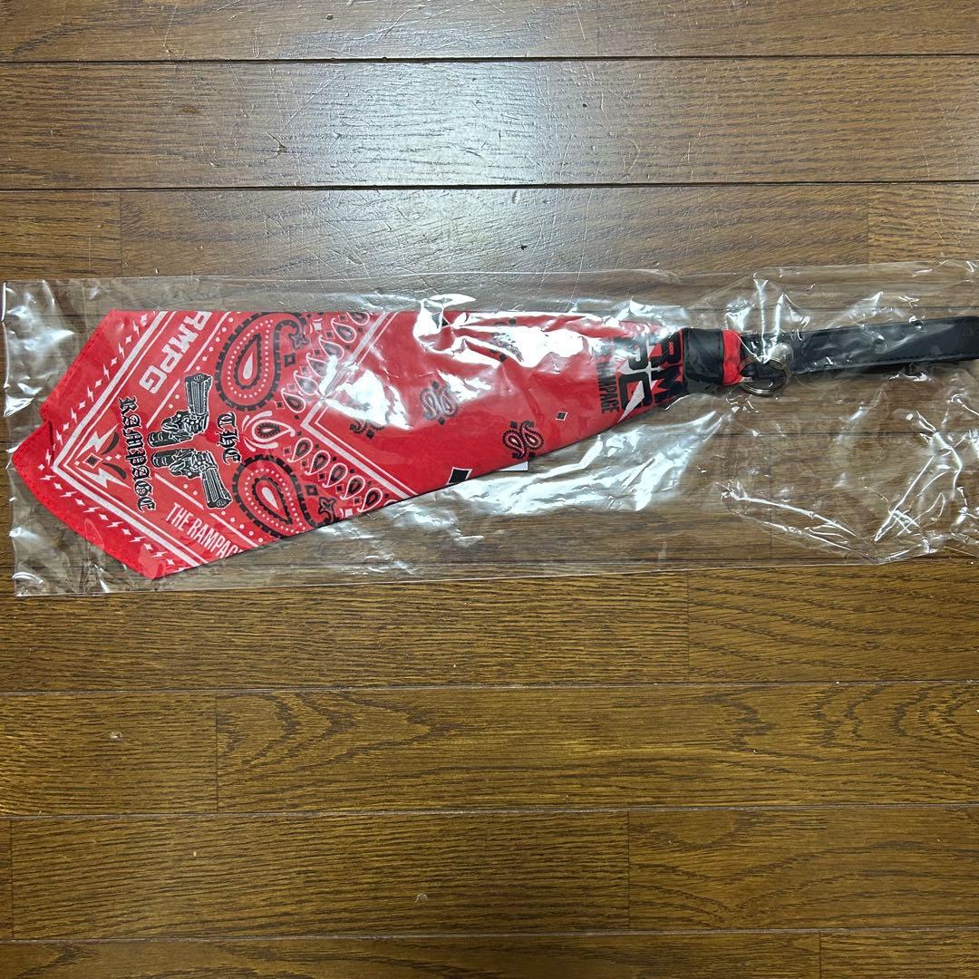 バラ売り可！THE RAMPAGE RMPG REBOOTグッズ11点セット