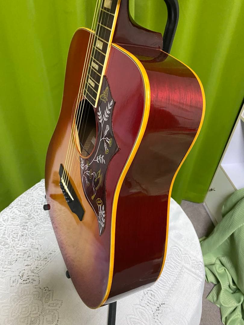 新春特価　Greco ハミングバード エレアコ　フジゲン製