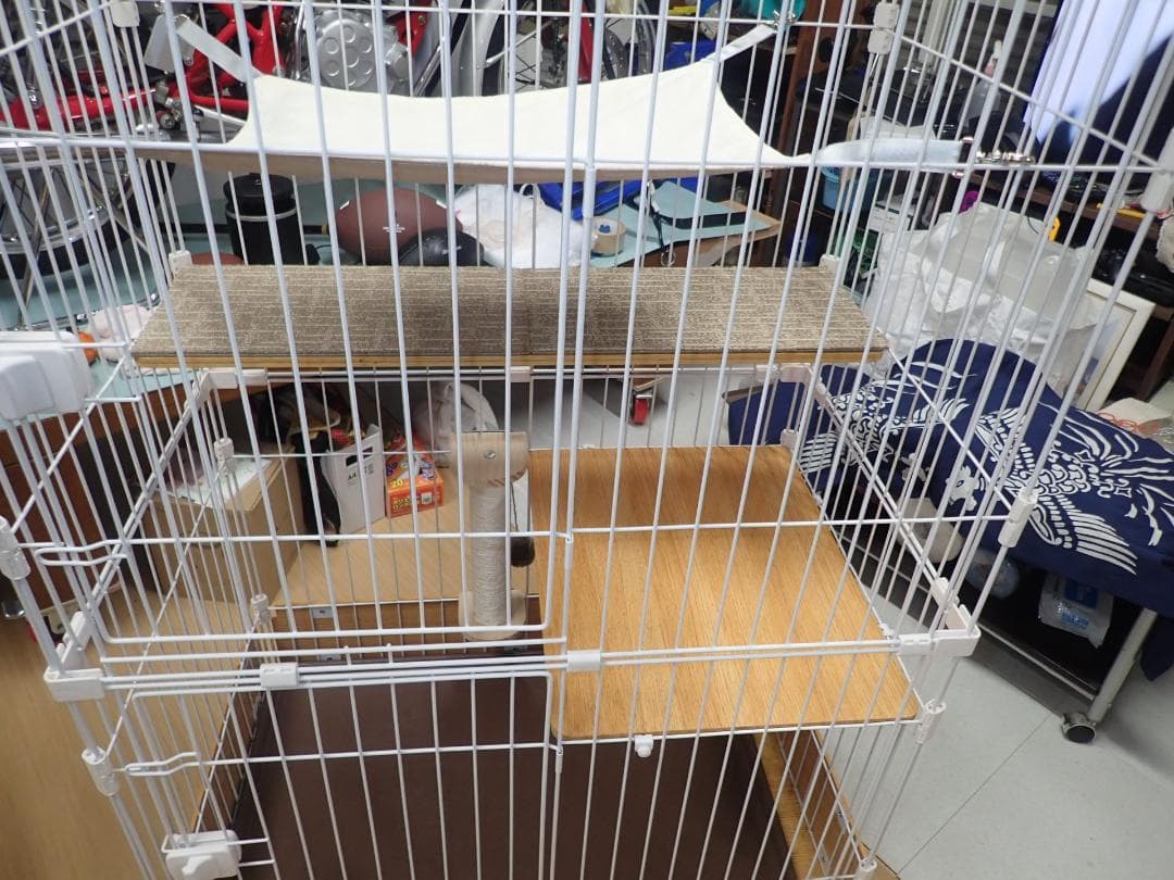 OSJ 猫ケージ　（美品）