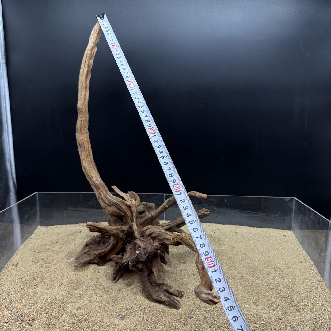 MSRW-7171 天然流木2本セット　スリムウッド　アクアリウム