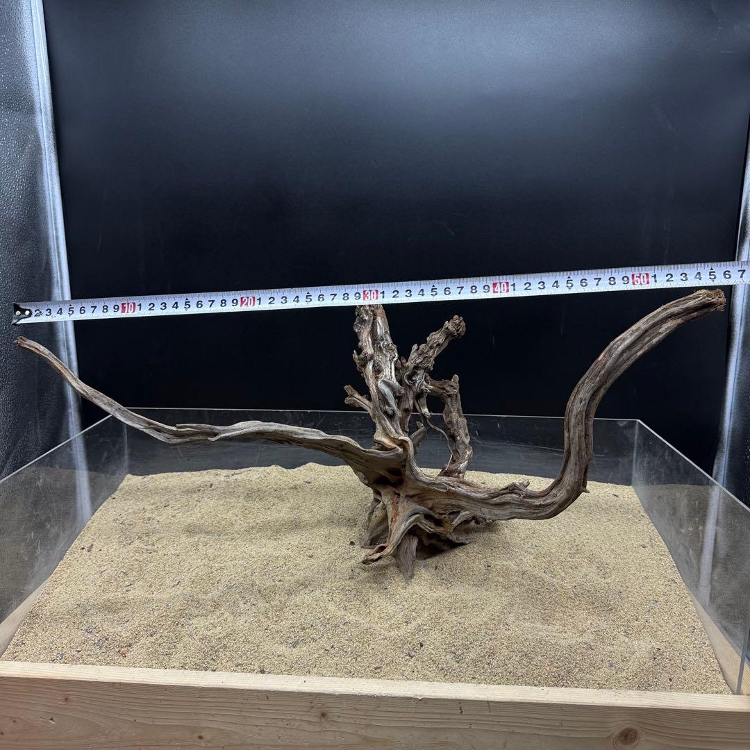 MSRW-7171 天然流木2本セット　スリムウッド　アクアリウム