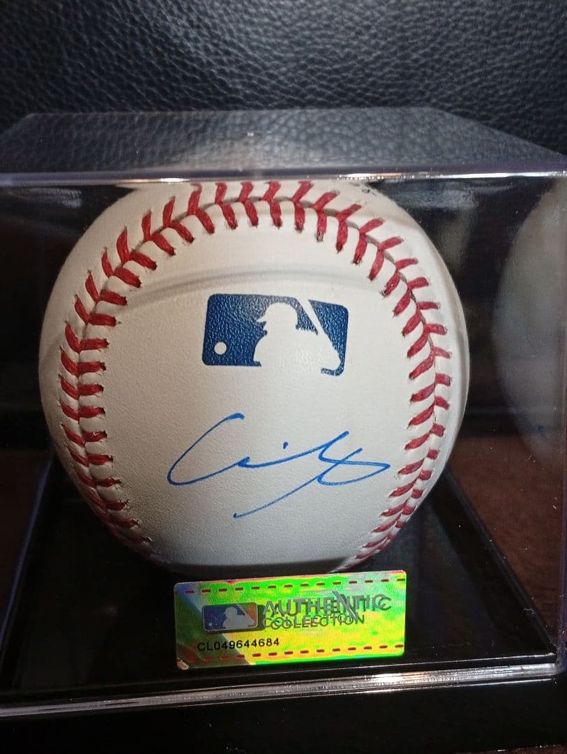 大谷翔平 佐々木朗希 山本由伸 直筆サインボール 正規品　MLB公式球