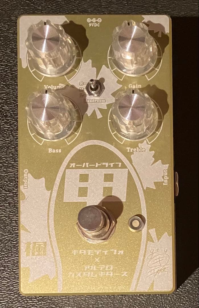 Altero Custom Guitars KAEDE -楓- 初期100台限定