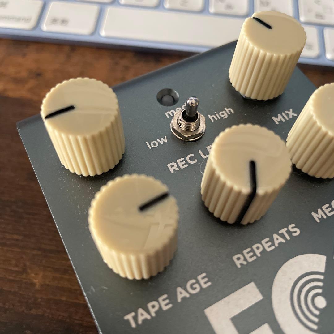 Strymon EC-1 EC1 ほぼ未使用美品