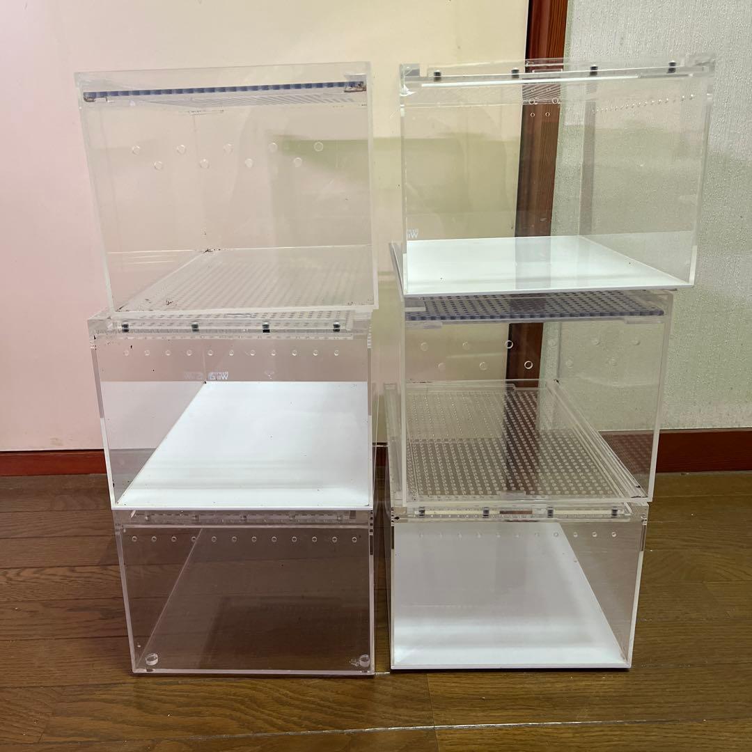 レプタイルボックス 6個