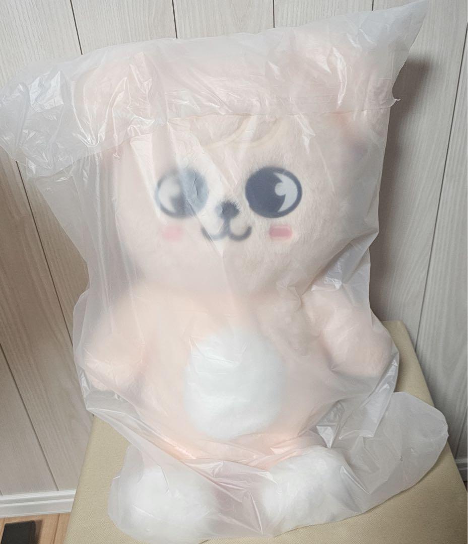 【新品】PUPPYM テディベア ぬいぐるみ SKZOO TEDDYBEAR