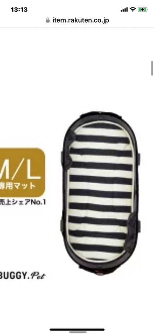 新品エアーバギードーム３➕マット