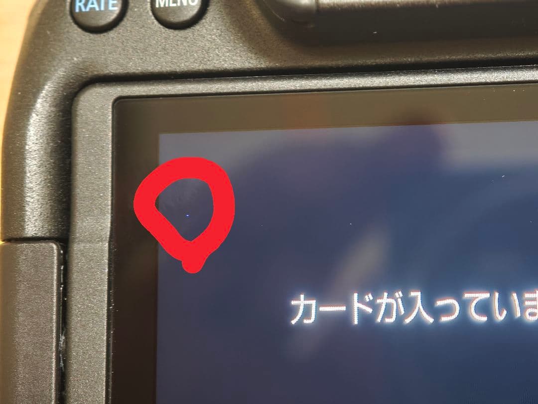 Canon EOS R6 Mark2 ボディシャッター回数1750元旦特価