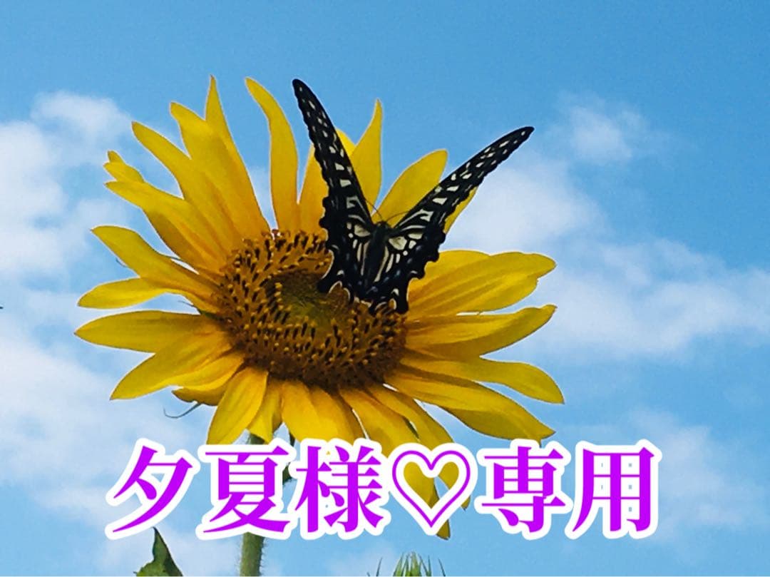 夕夏様❤️おまとめ専用ページです。6/12まで♡