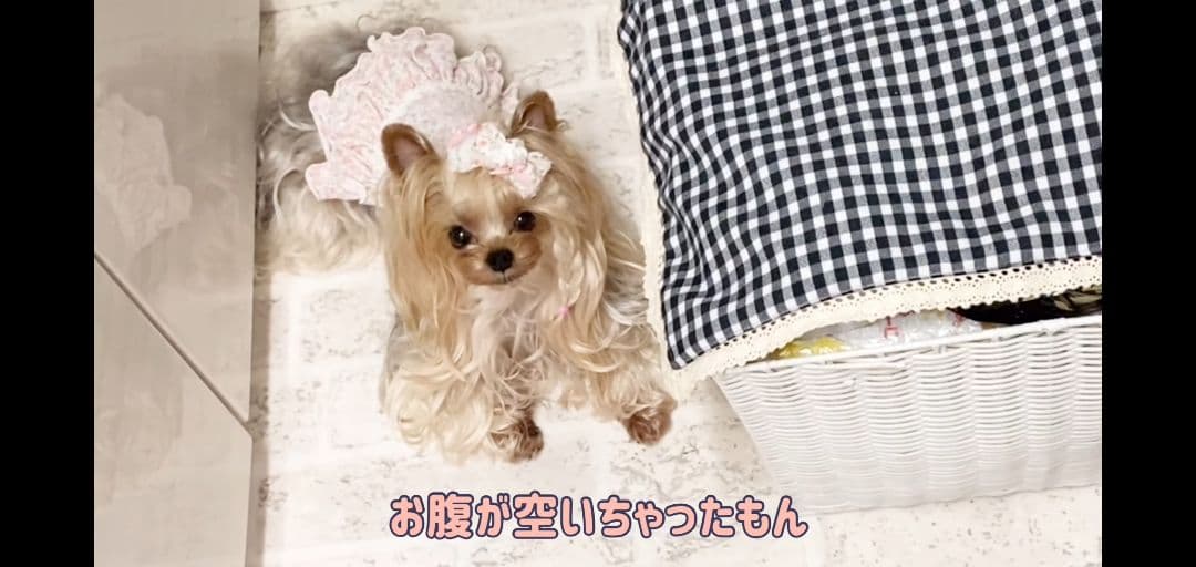 TOWA様、ご確認用です^^*