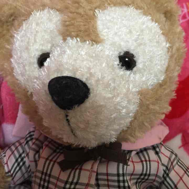 確認用 タグ付き ダッフィ バーバリータイプ コスチューム 本体付き