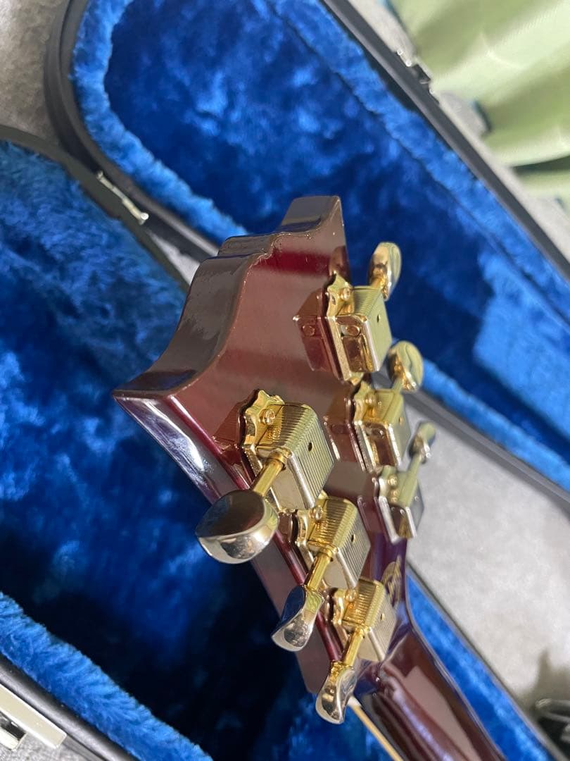 おまけ付きEpiphone Riviera Custom P93 355p90
