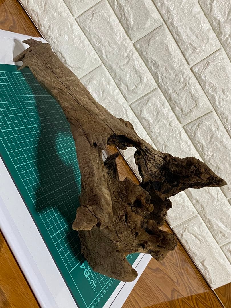 コエポンさま専用おまとめ