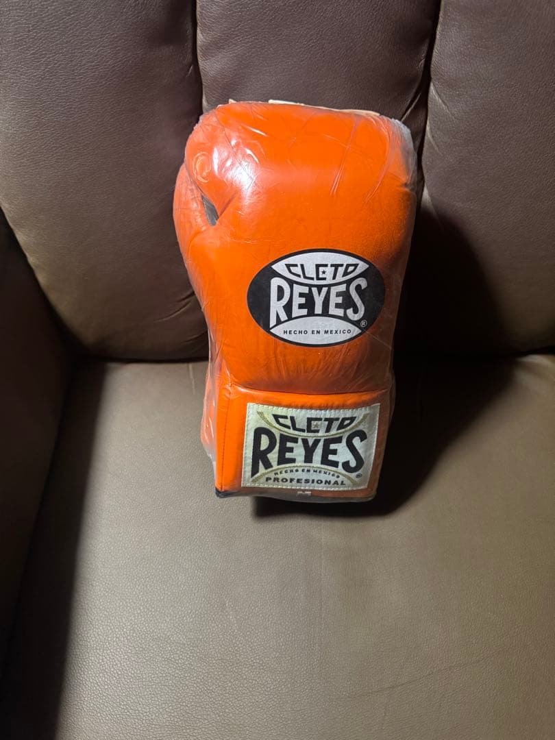 レイジェス　プロファイトグローブ１０oz