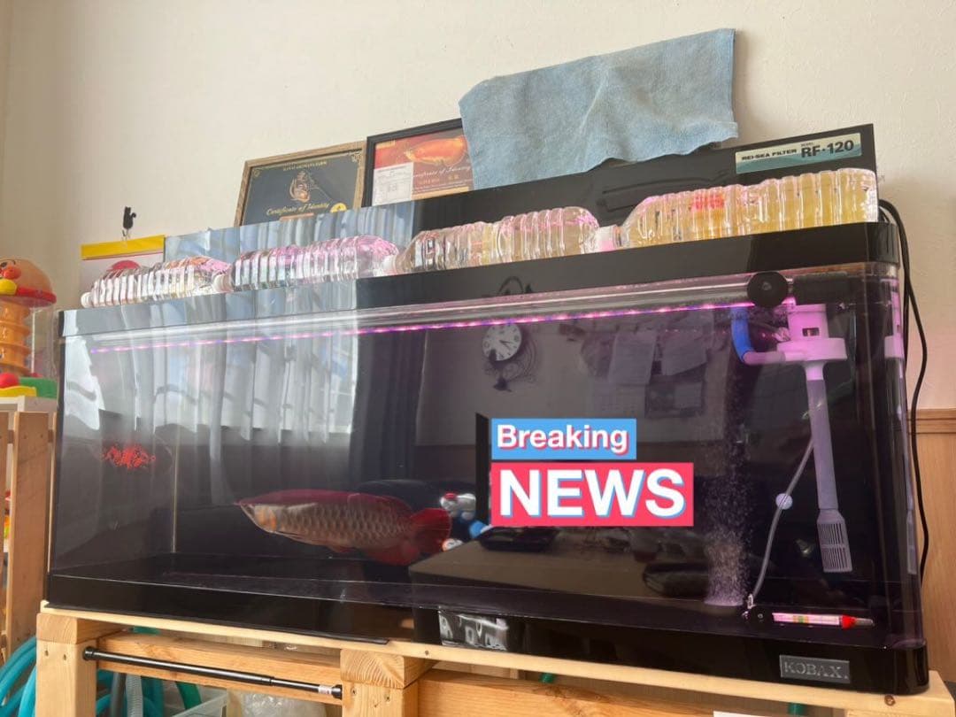 1200アクリル水槽 本体 大型水槽 別途配送可能