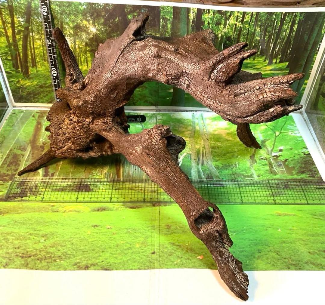 けすけ様　ご提案用　天然水槽用流木　沈水確認済み