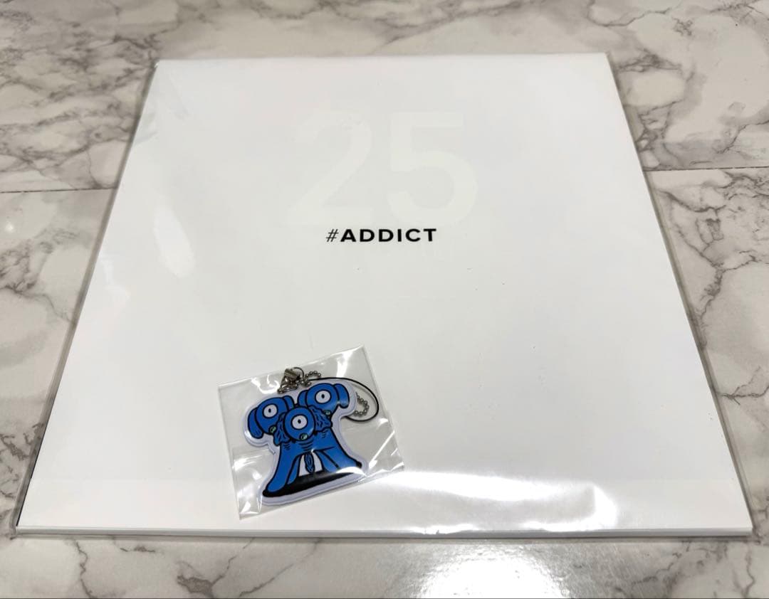 安室奈美恵　ADDICT　沖縄25th　パンフレット