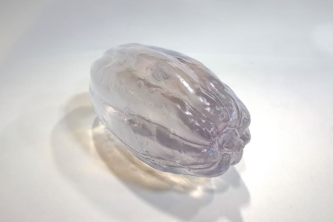 透明なカカオの実のディスプレイ（大）