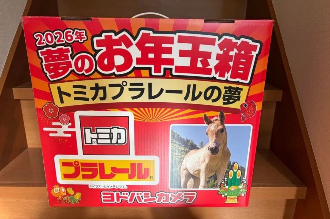 2026年 夢のお年玉箱 トミカプラレールの夢 ヨドバシ 福箱 福袋
