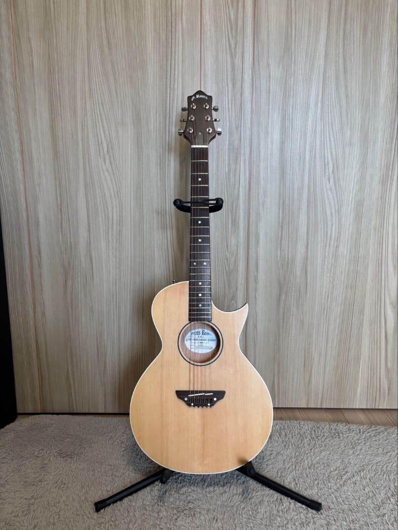 ギター GrassRoots G-AC-45