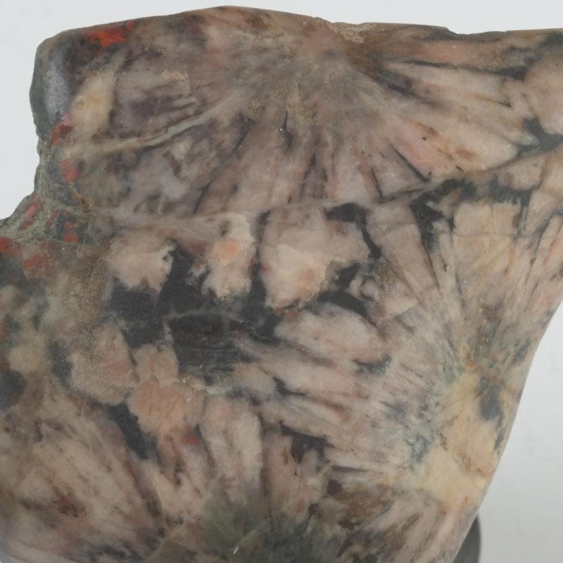 岐阜県根尾谷産　天然石　鑑賞石　菊花石　唐木台付　書付共箱　V　9425