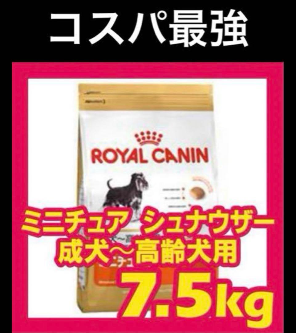 ラスト！２個セット CANIN ミニチュアシュナウザー 7.5kg