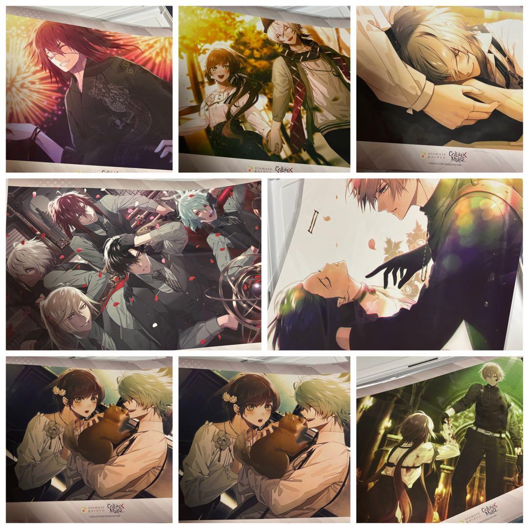 カラマリ　ランチョン8枚まとめ売り