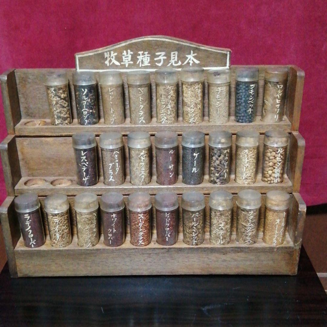 牧草種子見本　見本棚　昭和レトロ