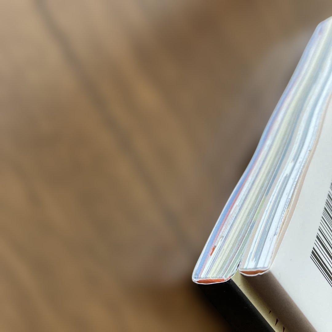 ワンピースマガジン 2冊セット ルフィ 少女