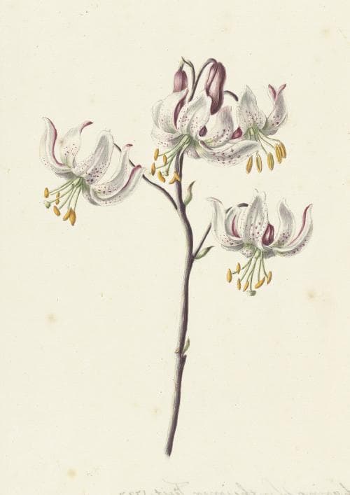 m10★ポスター8枚