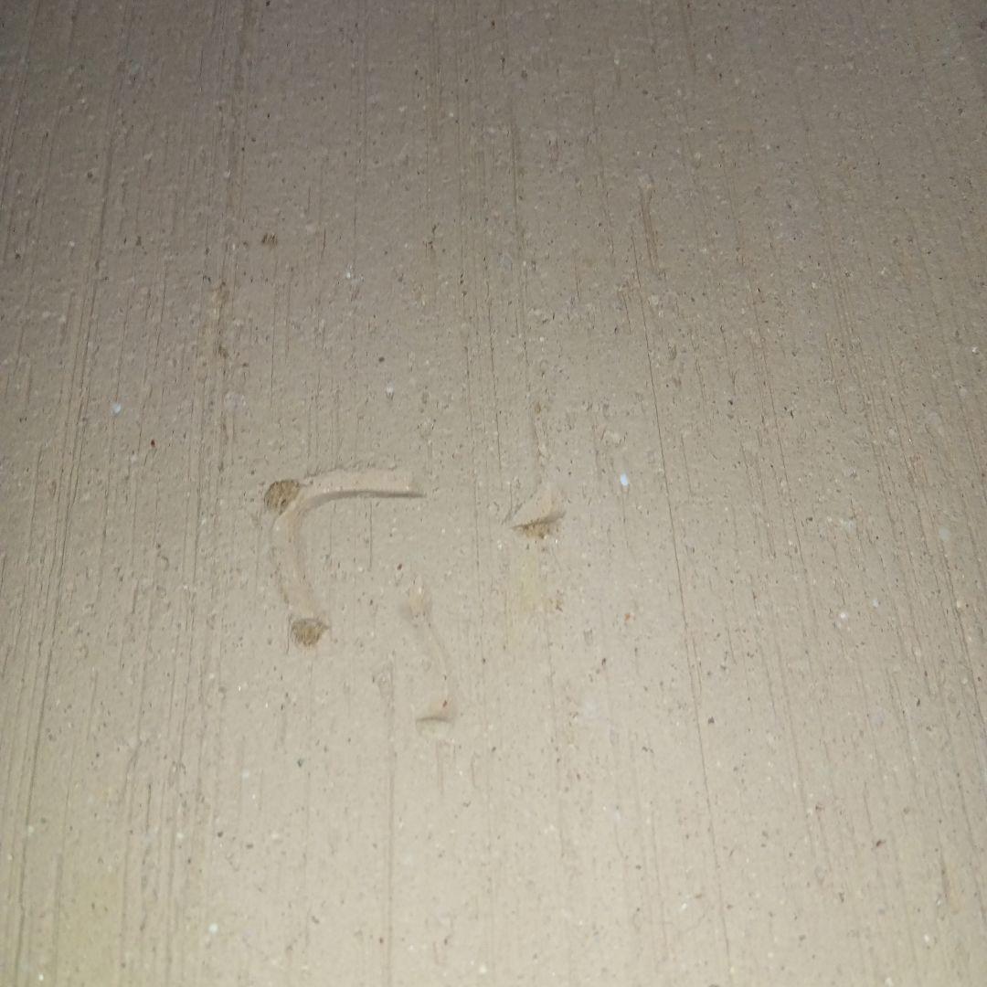 水盤(65cm)華道具　茶道　池坊　変形花器　生け花　小原　草月　花瓶　　自由花