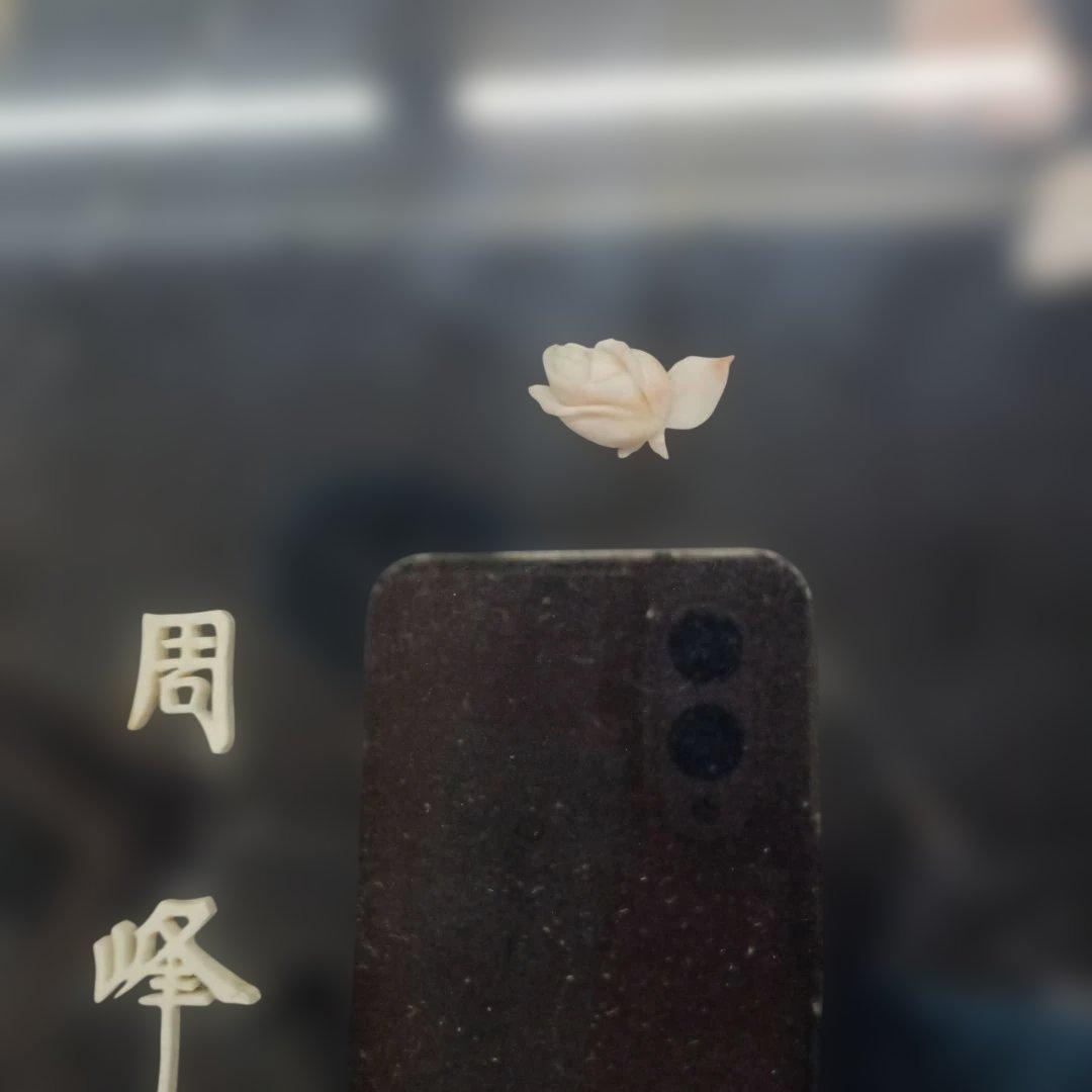 3985）周峰　珊瑚の彫刻の額　薔薇