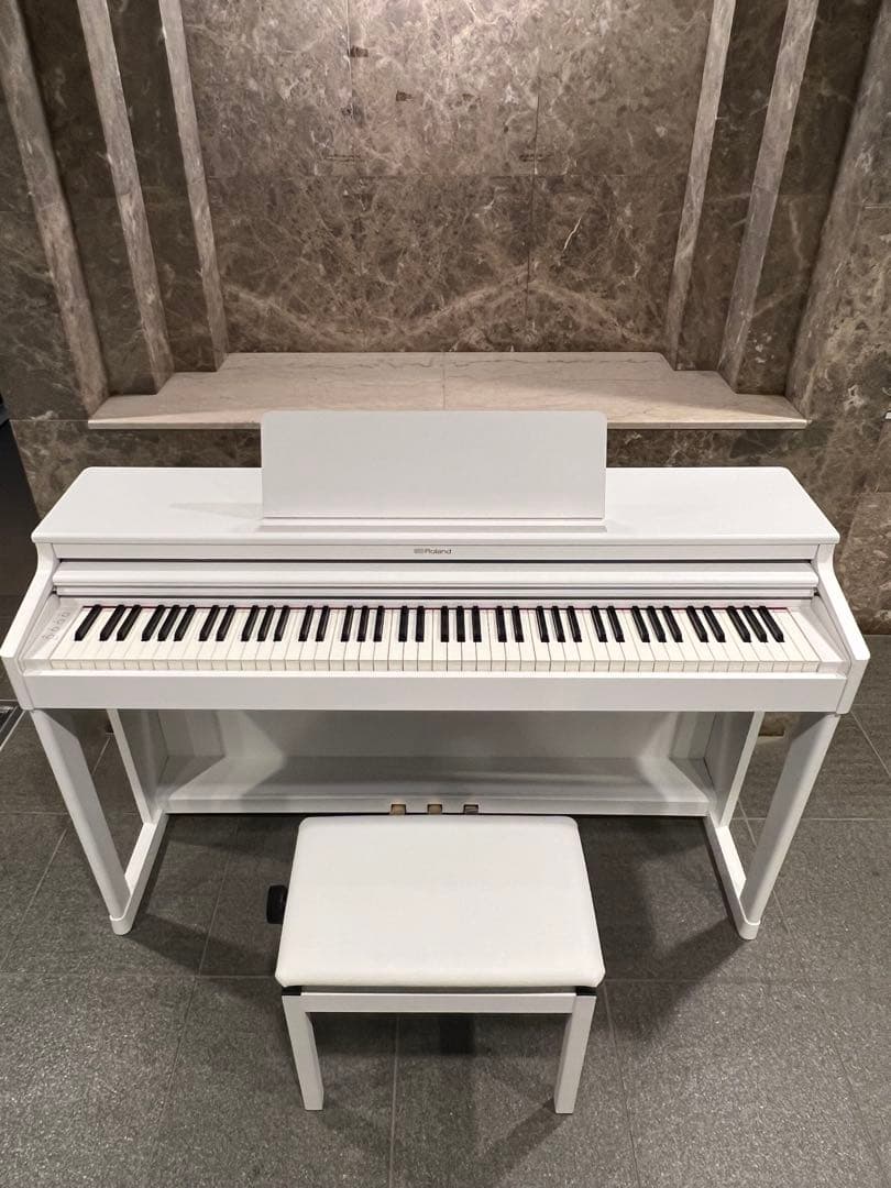 ローランド　RP701