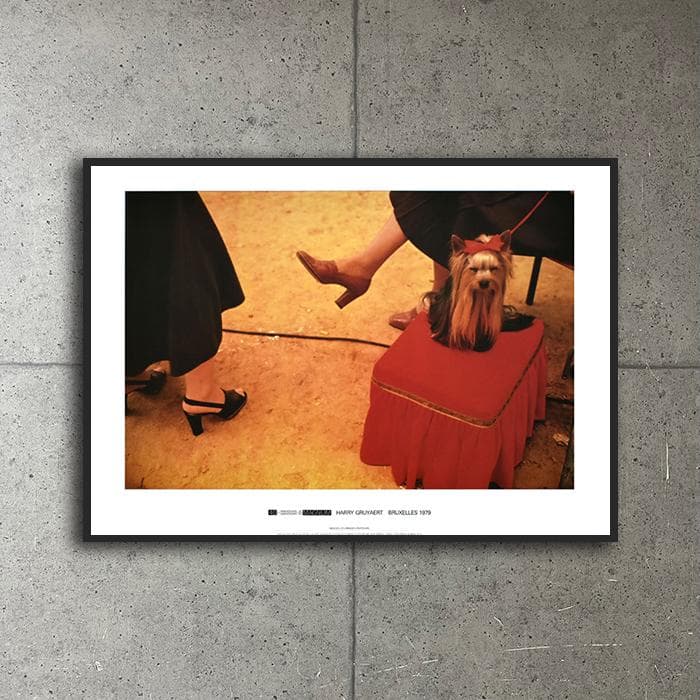 額装済/Bruxelles 1979/ハリー グリエール