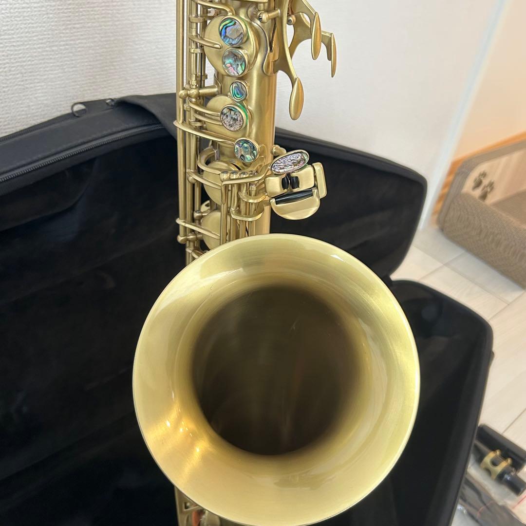 新古品【オーストリア】Schagerl Amadeusサテンテナーサックス