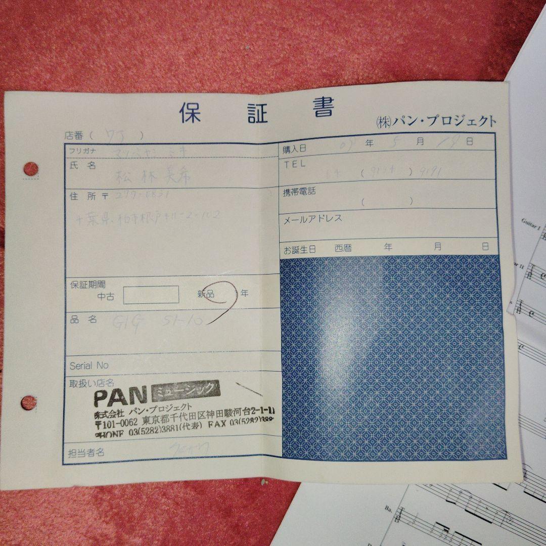 GIGエレキギター