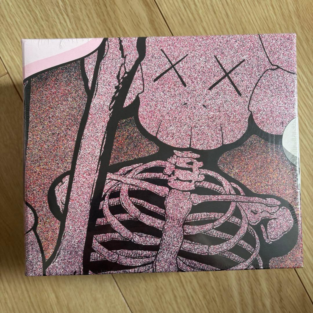 ミュージシャン KAWS X CLIPSE