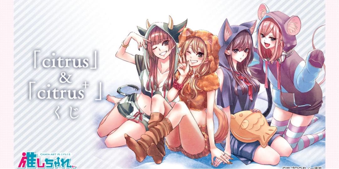 【匿名配送】「citrus」＆「citrus＋」くじ コンプリートセット