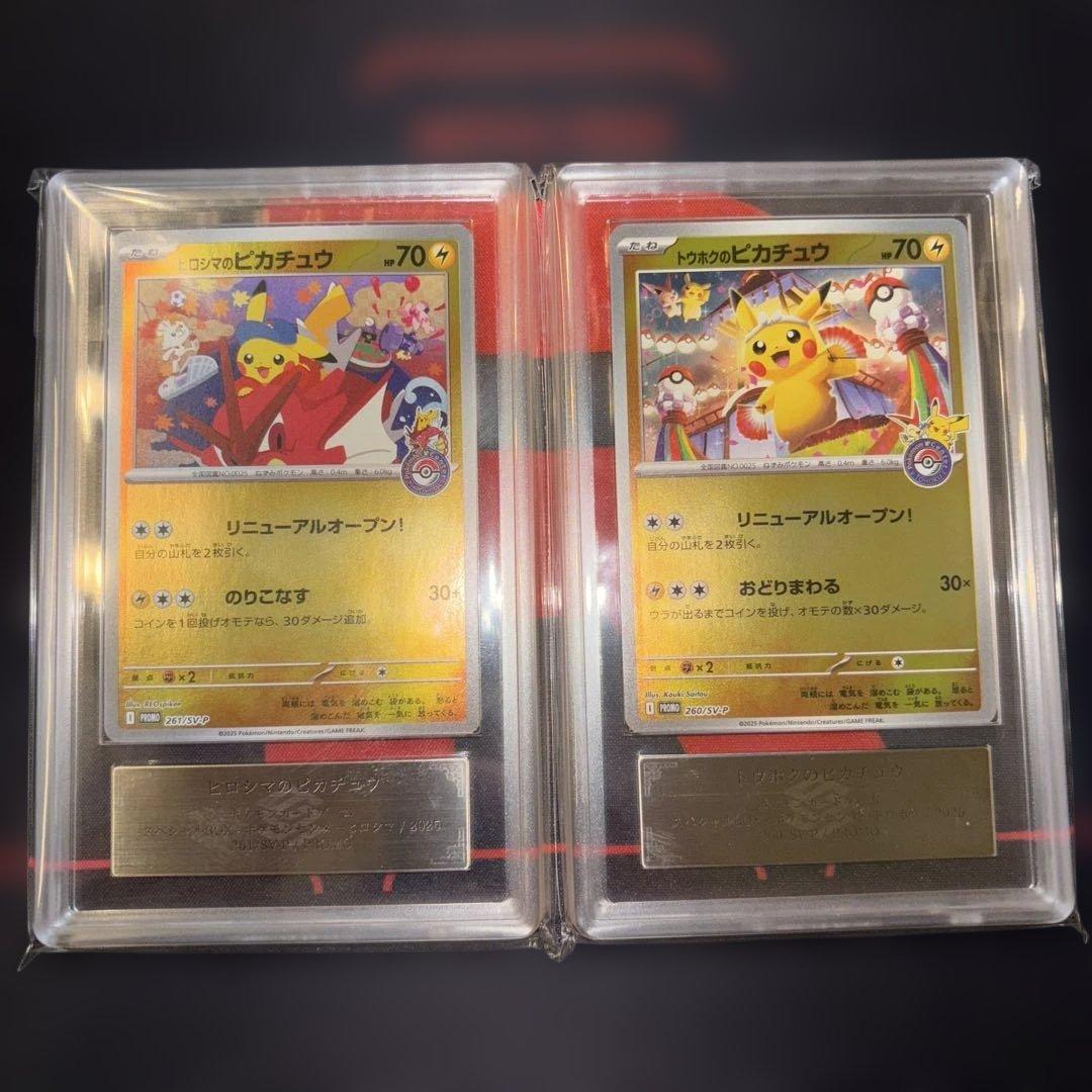 トウホクのピカチュウ ヒロシマのピカチュウ　ARS9