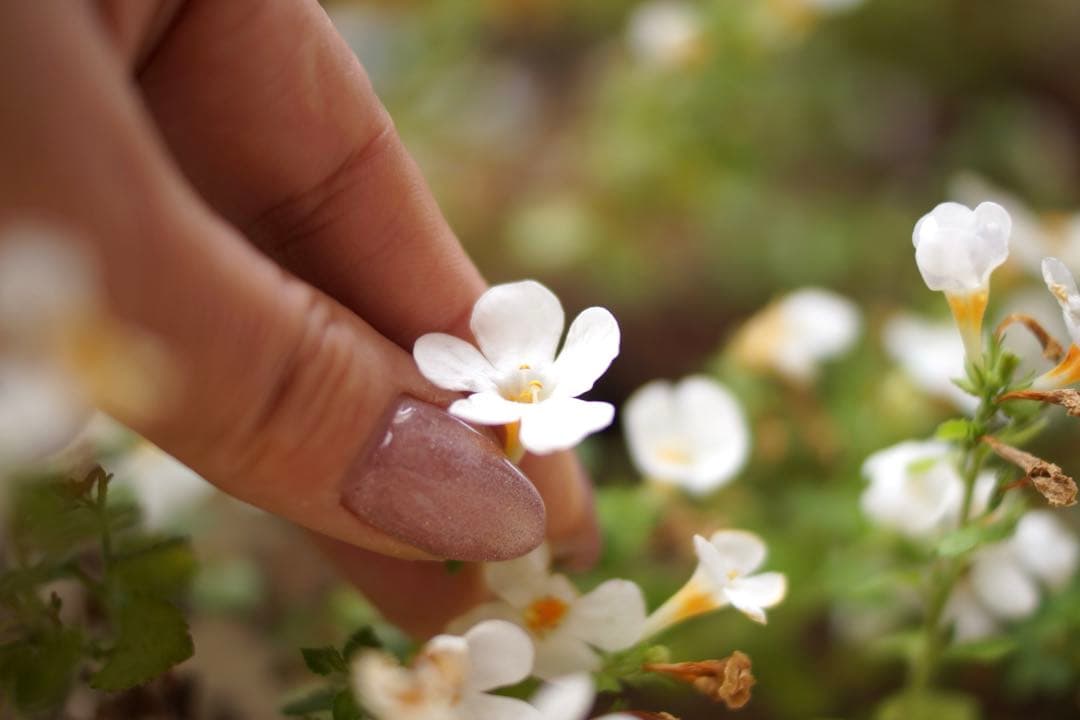 SONY【Aマウント】DT35mm F1.8 SAM SAL35F18